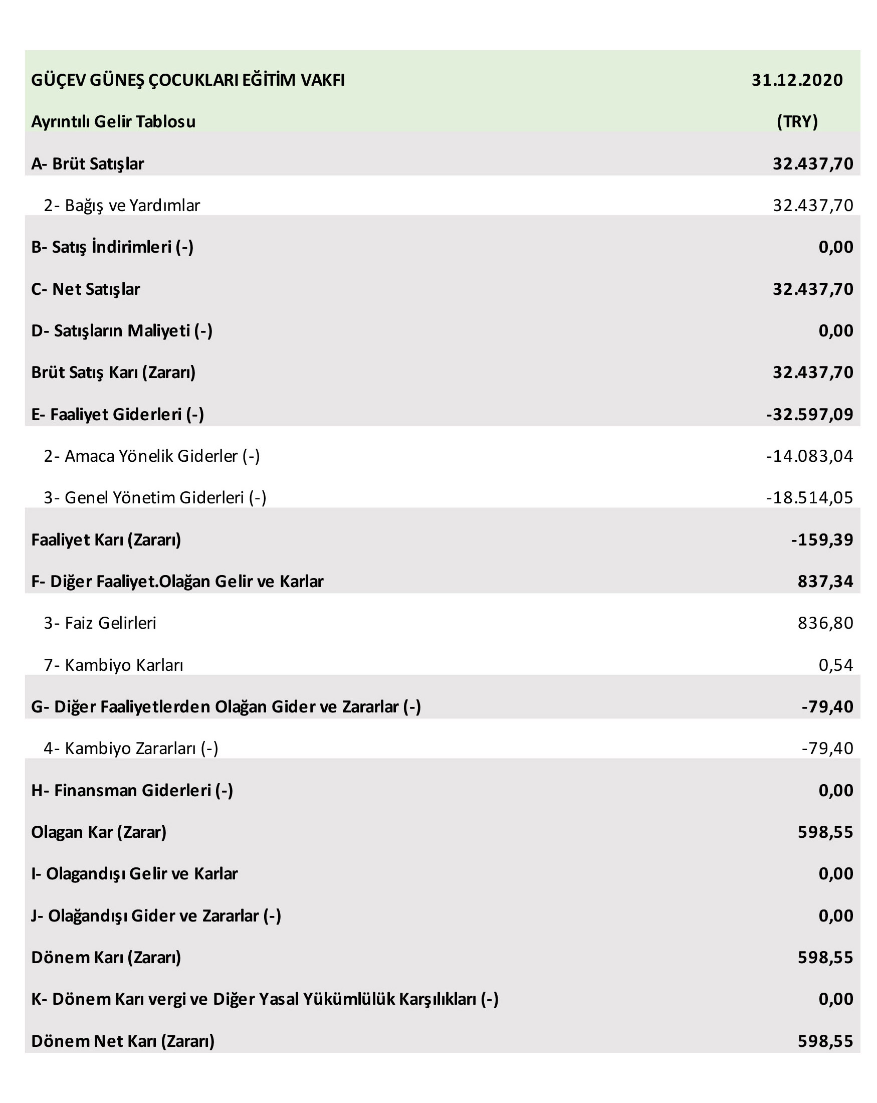 GUCEV GUNES CO CUKLARI EGITIM  VAKFI BİLANÇO_2020_12_31